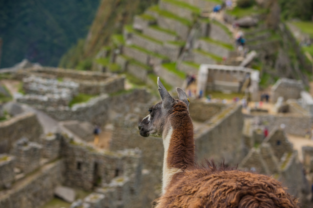 Perú al Completo