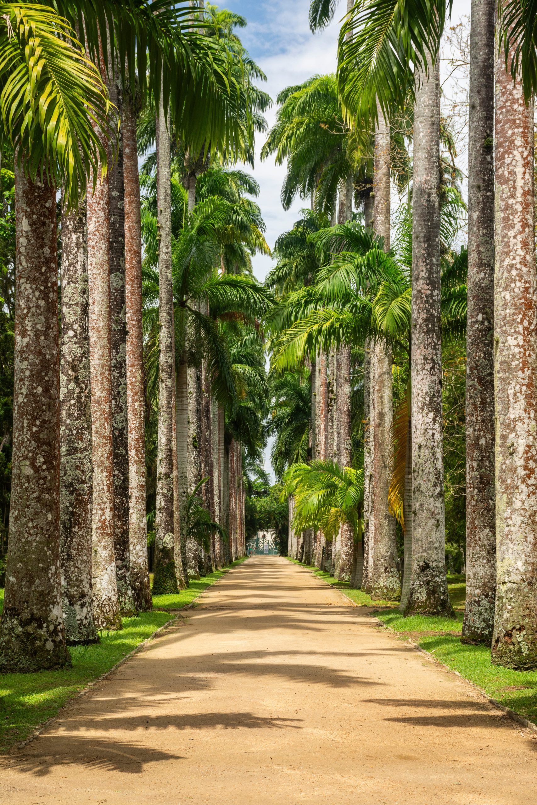 Sudamérica Majestuosa